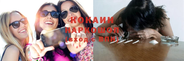 индика Белоозёрский