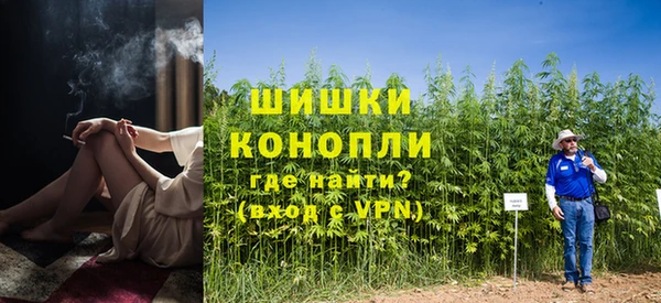 ГАЛЛЮЦИНОГЕННЫЕ ГРИБЫ Балахна