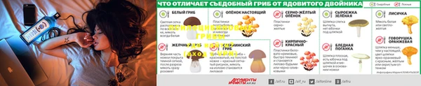 дмт Баксан