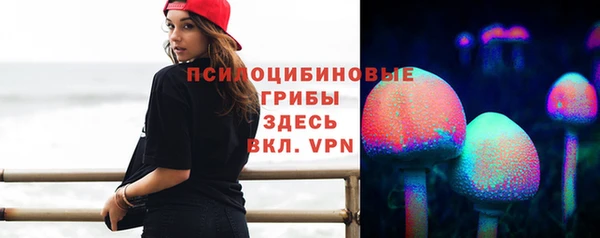 индика Белоозёрский